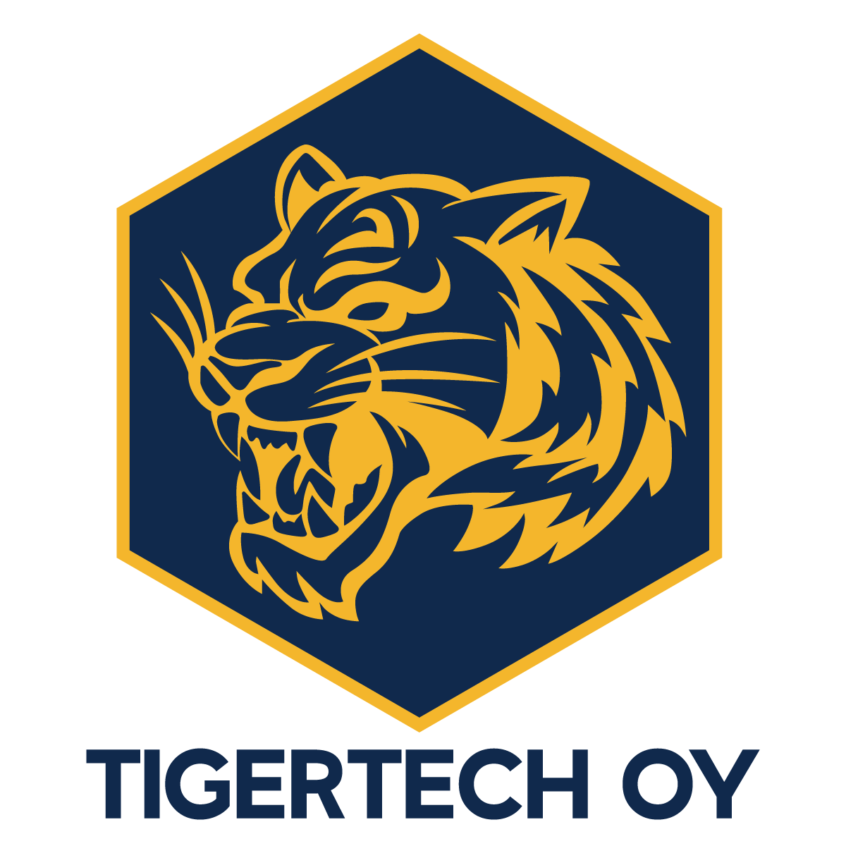 NovaConsulting Template